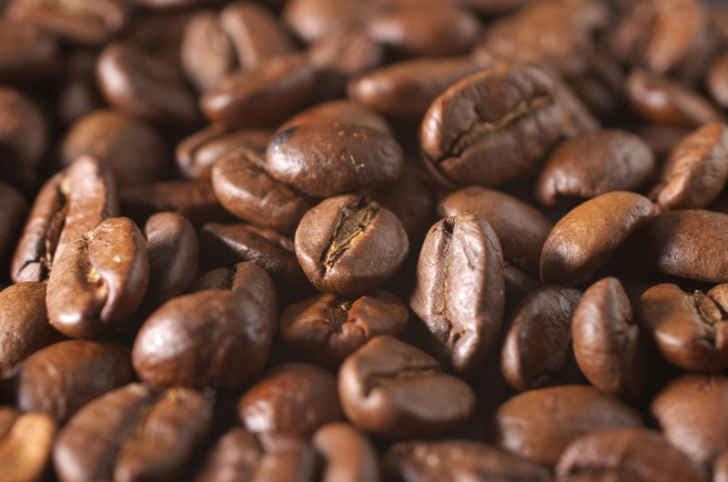 The Ultimate Guide to Coffee Beans: From Farm to Cup